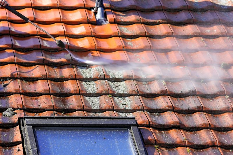 Roof Algae Cleaning