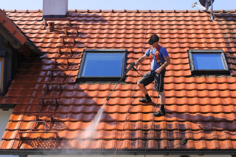 Roof Algae Cleaning