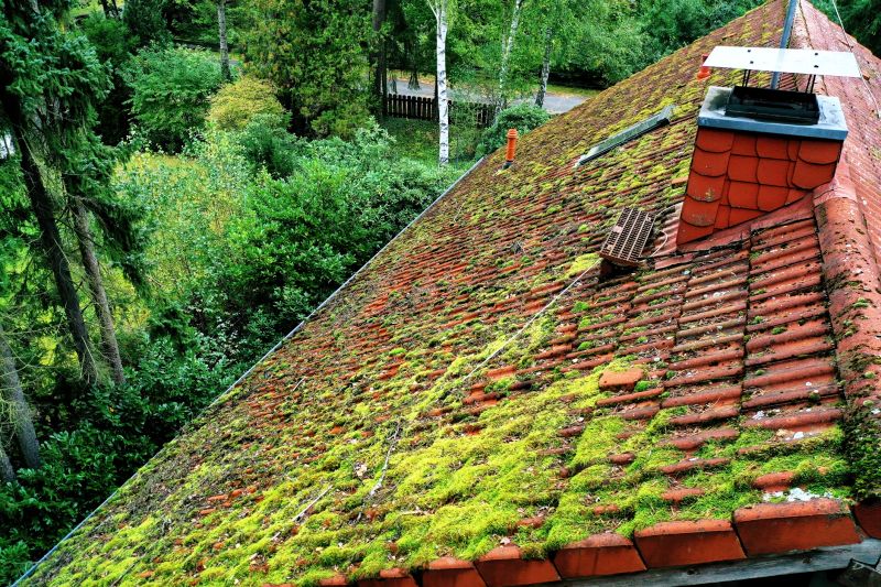 Roof Algae Cleaning