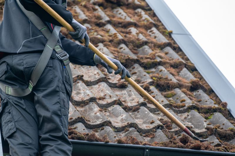 Roof Algae Cleaning