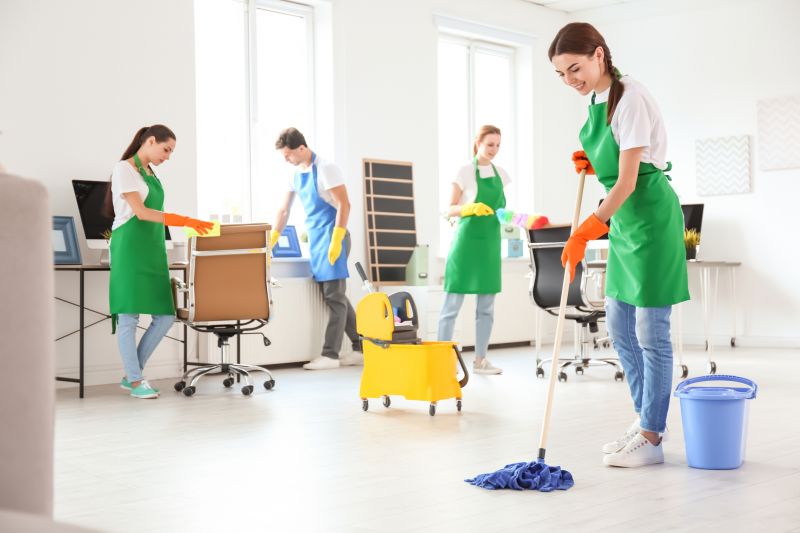 Professional Cleaning Crew