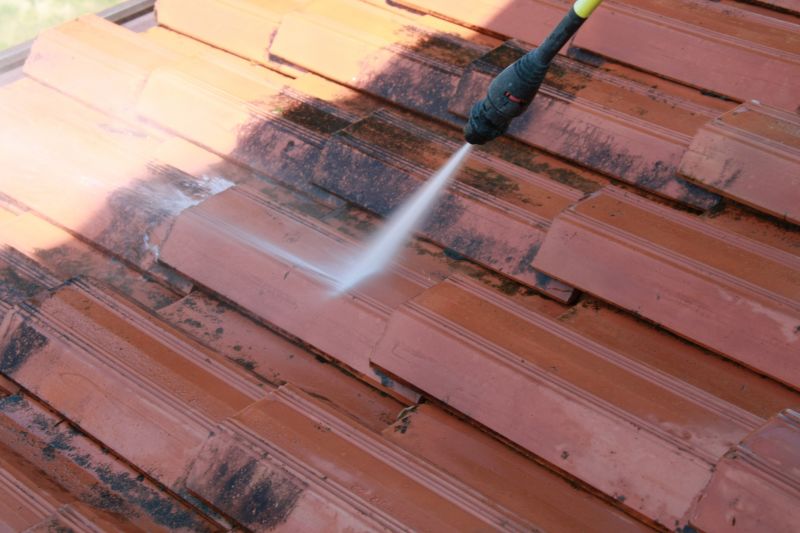 Roof Mildew Removal